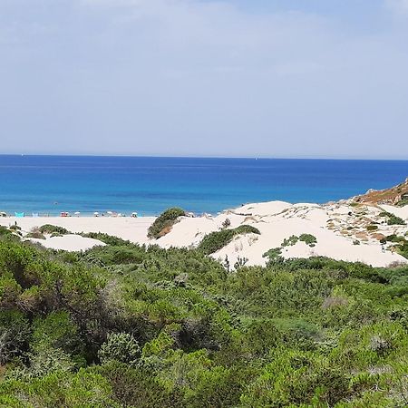 Rena Majore Punta Dell Aquila Aglientu Bagian luar foto